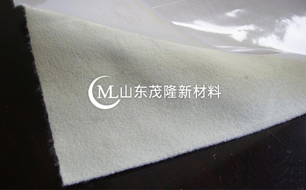 復合土工膜產品演示圖1