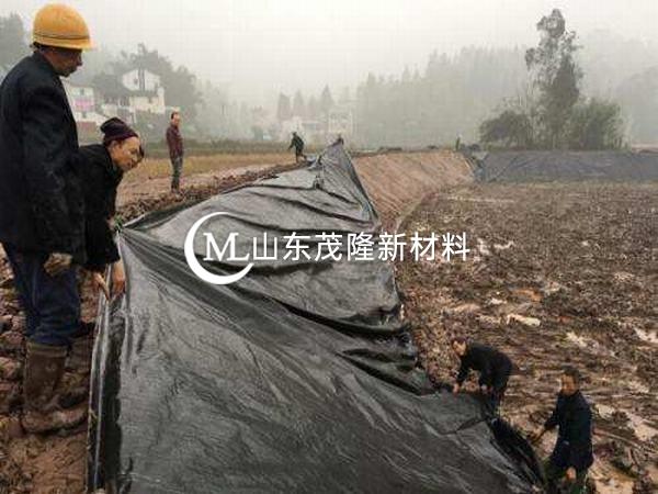 復合土工膜的鋪設采用分段施工和流水作業(yè)的方