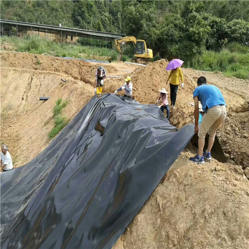 水庫(kù)加固如何選擇防滲土工膜