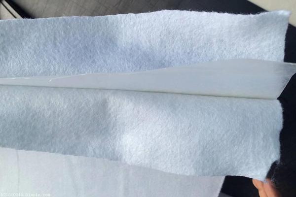 一布一膜的復(fù)合土工膜：提升工程質(zhì)量，保護環(huán)境  第4張