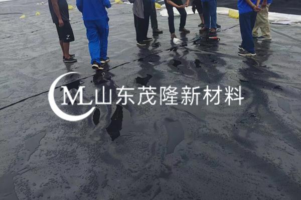 《中國石化洛陽分公司洛陽原油商儲(chǔ)基底工程項(xiàng)目》土工膜施工