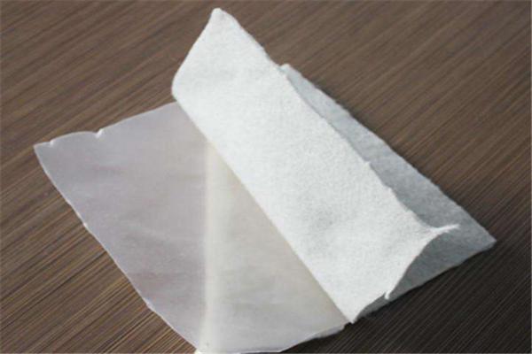 復(fù)合土工膜在重大基礎(chǔ)設(shè)施項目中的實施經(jīng)驗