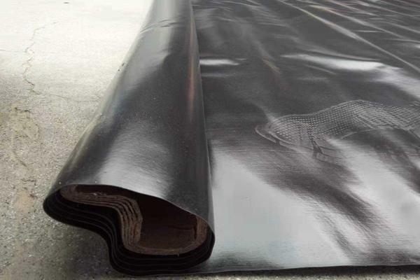 土工膜的生產工藝流程有哪些  第3張