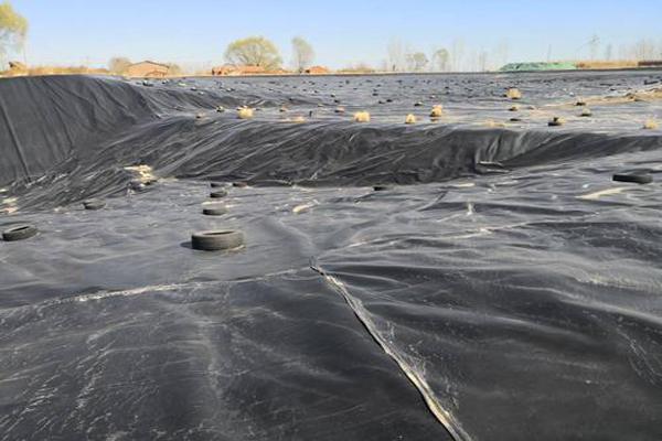 HDPE膜檢測頻率 第3張