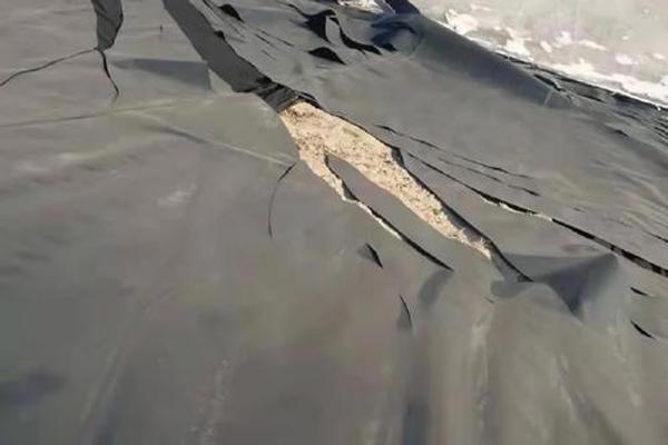 土工膜開裂的原因 第1張