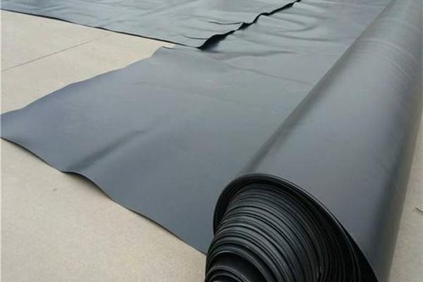 荷花池土工膜怎么施工 第2張