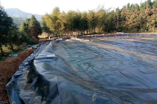 土工膜在陽光照射下的抗老化情況 第2張