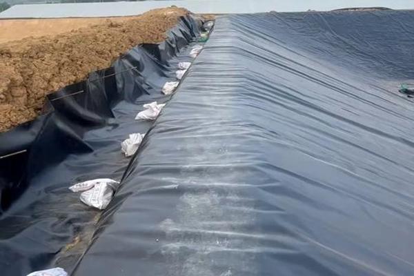 土工膜需要保護(hù)嗎  第1張