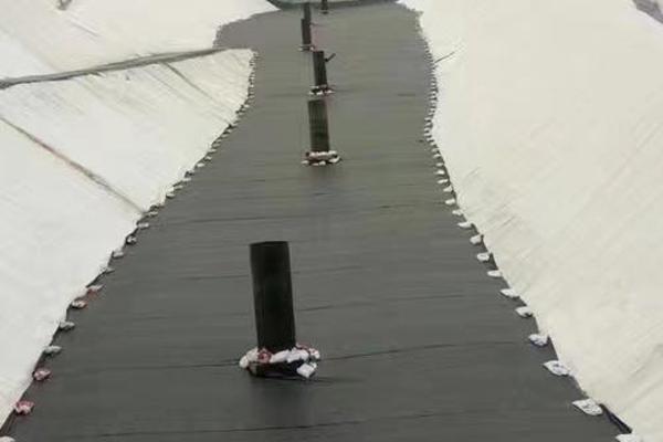 土工膜需要保護(hù)嗎  第2張