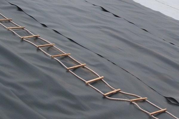 土工膜可以做衛生間防水嗎？  第1張