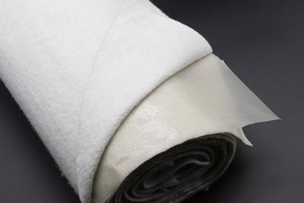 復(fù)合土工膜可以用在哪些復(fù)雜環(huán)境中  第3張