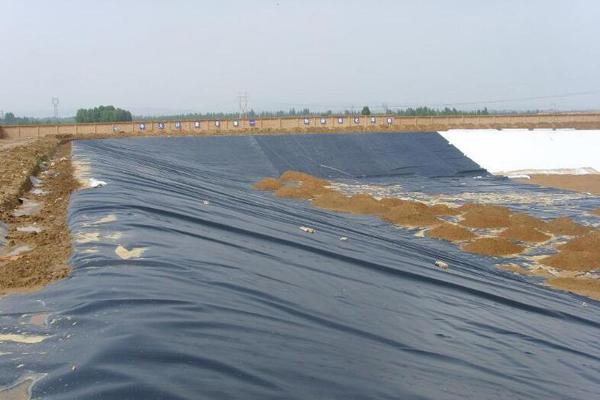 飲用水池可以鋪土工膜嗎  第3張